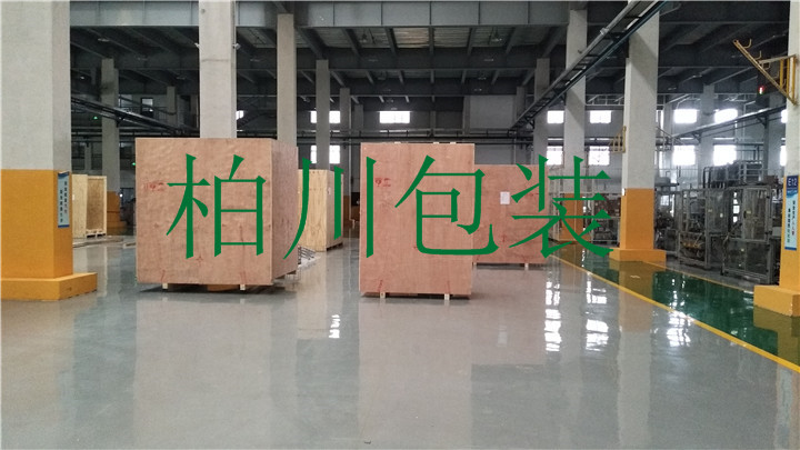 汽车电子设备包装项目